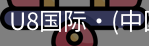 U8国际